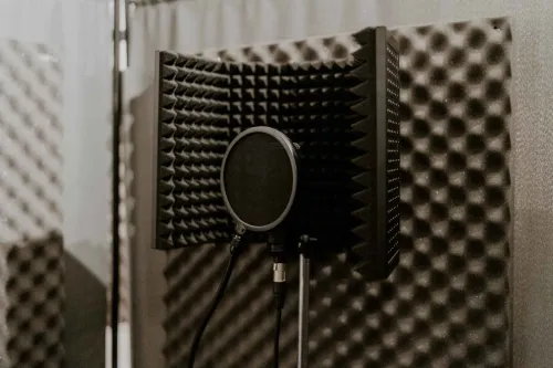 Vocal recording mic w/ sound deadening baffles